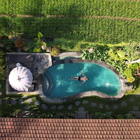 Umakelod Sebatu Villas Ubud Zewnętrze zdjęcie