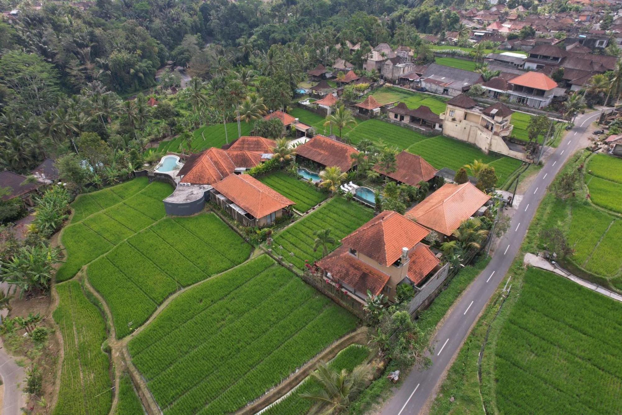 Umakelod Sebatu Villas Ubud Zewnętrze zdjęcie