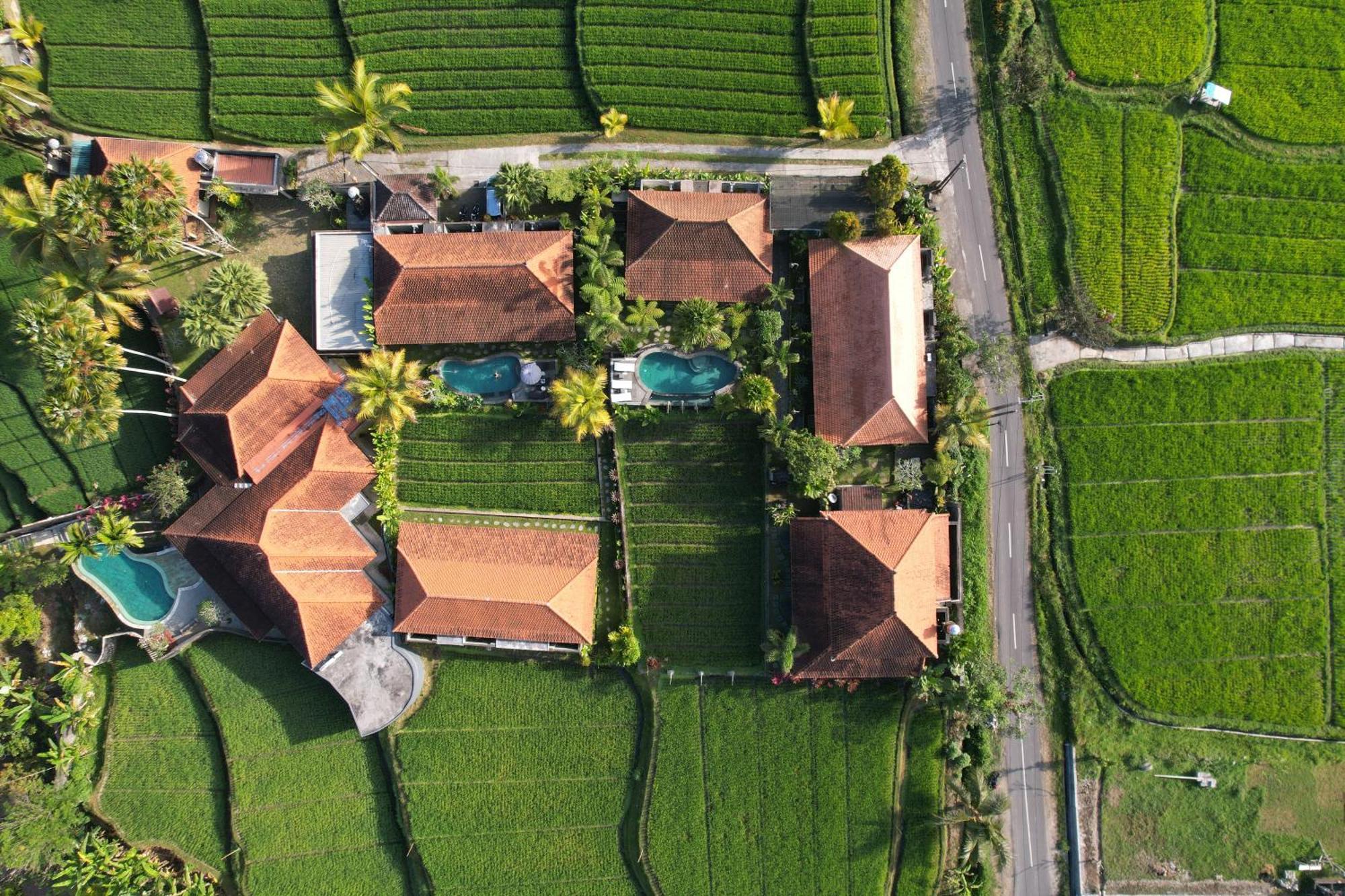 Umakelod Sebatu Villas Ubud Zewnętrze zdjęcie